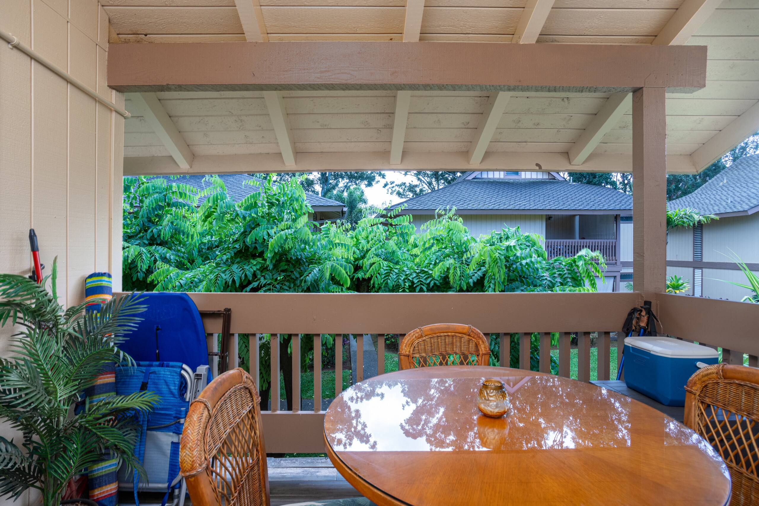 King studio with AC, Lanai, Pool, & Hot Tub - Photo 18