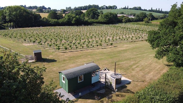 Vineyard Shepherds Hut 1 |Wood Fired Hot Tub| Wine - Bridgwater