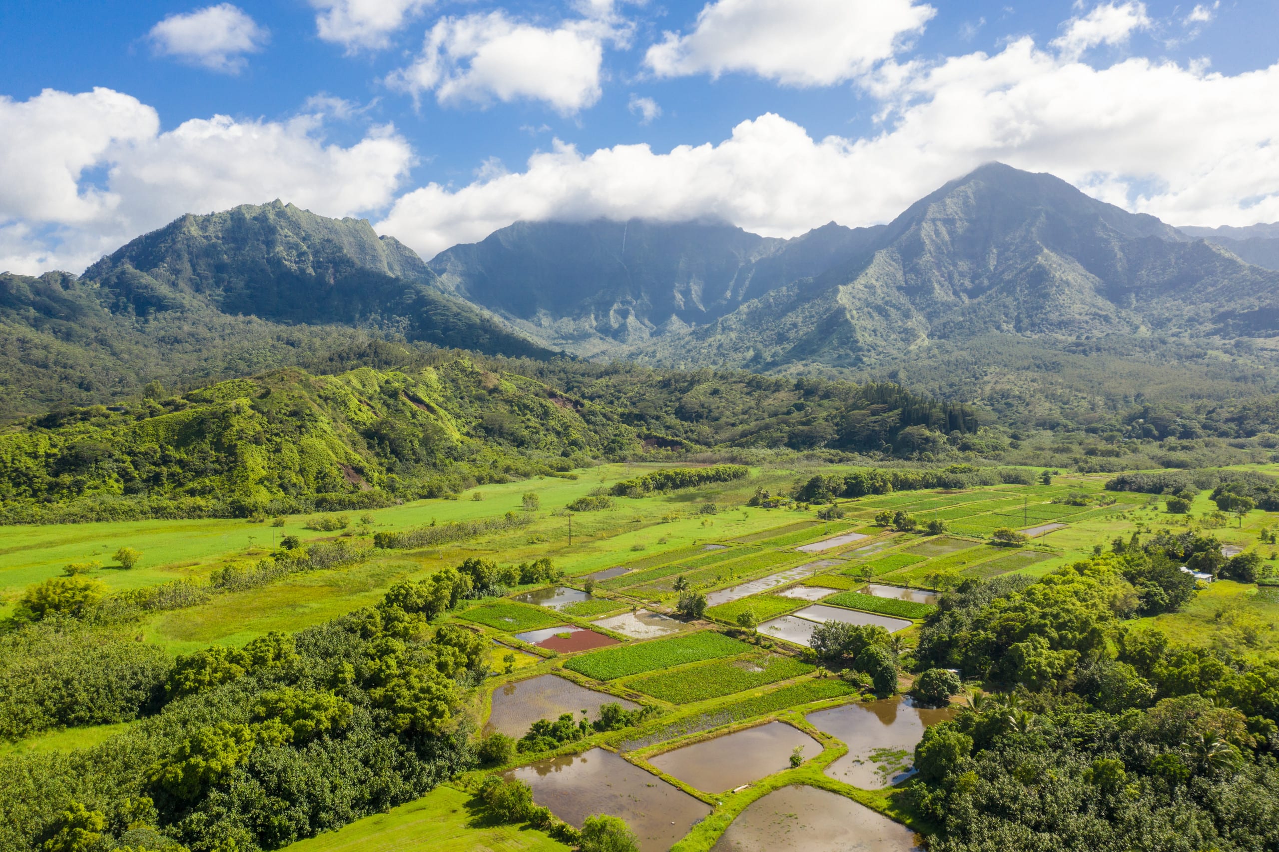 Home in Hanalei · ★5.0 · 5 bedrooms · 6 beds · 3 baths - Image 4