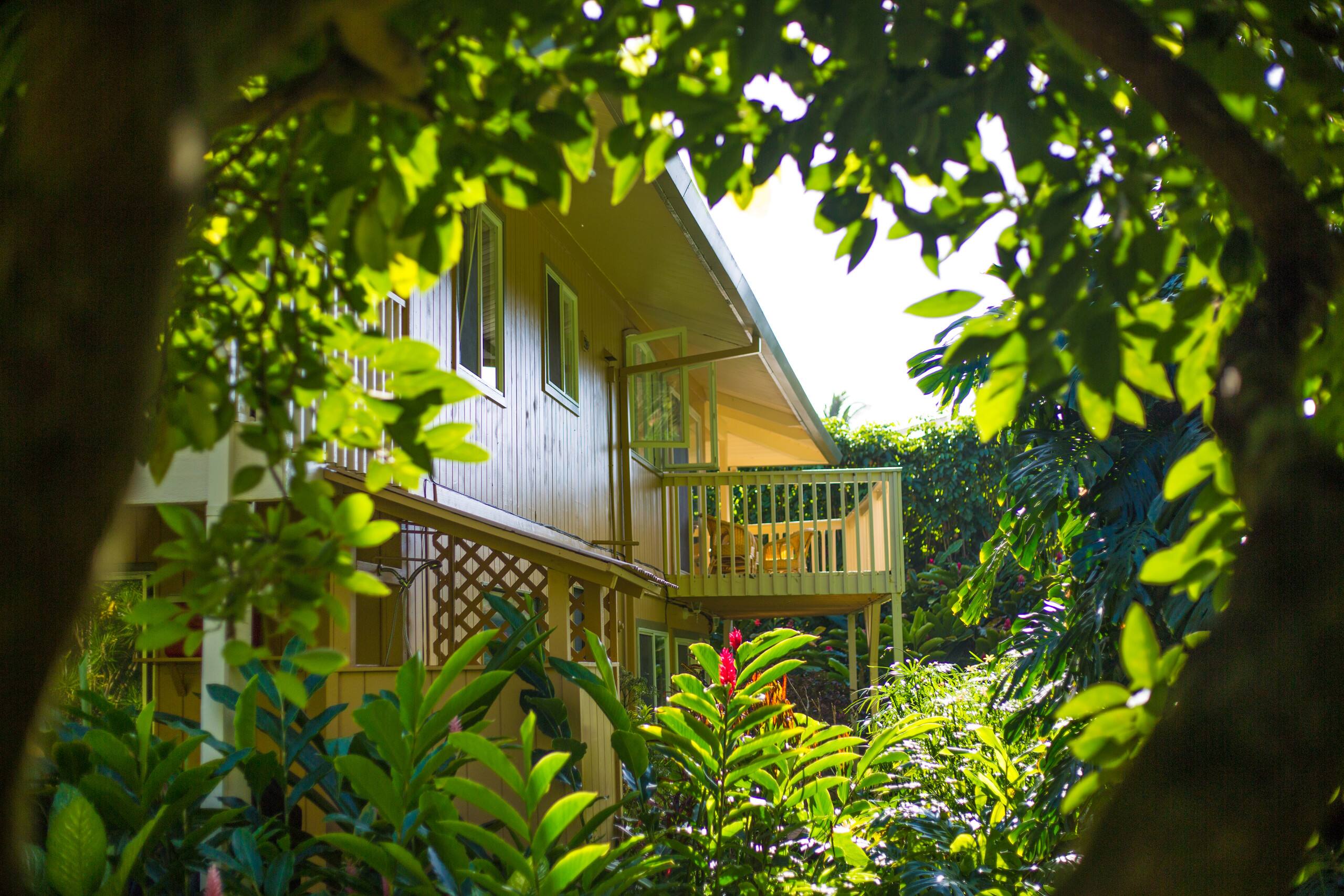 Home in Hanalei · ★5.0 · 5 bedrooms · 6 beds · 3 baths - Image 14