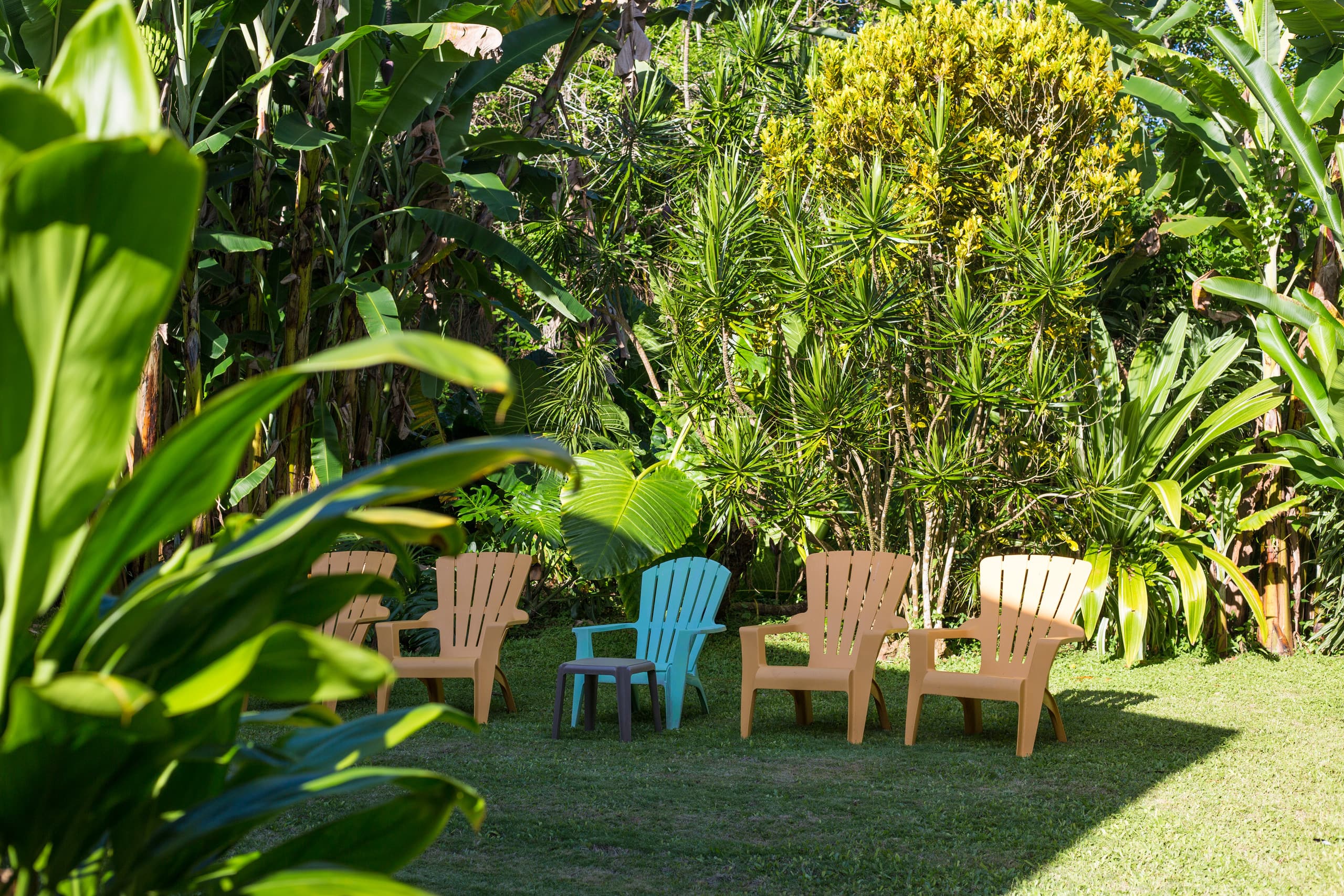 Home in Hanalei · ★5.0 · 5 bedrooms · 6 beds · 3 baths - Image 3