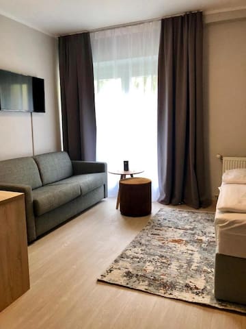 Arthotel ANA managed Airbnb listing 1