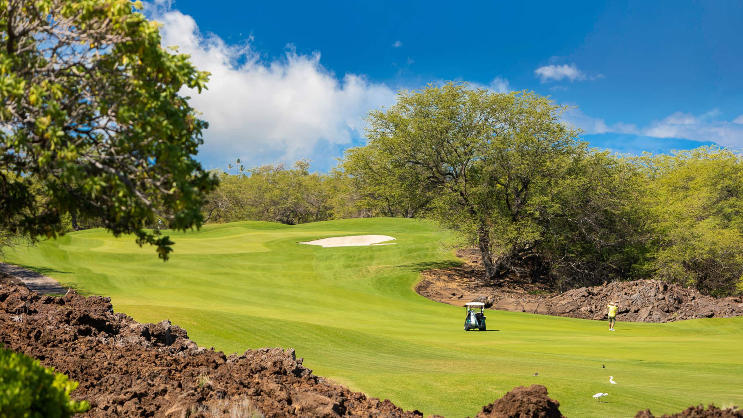 Home in Waimea · ★4.97 · 4 bedrooms · 6 beds · 3.5 baths - Image 14