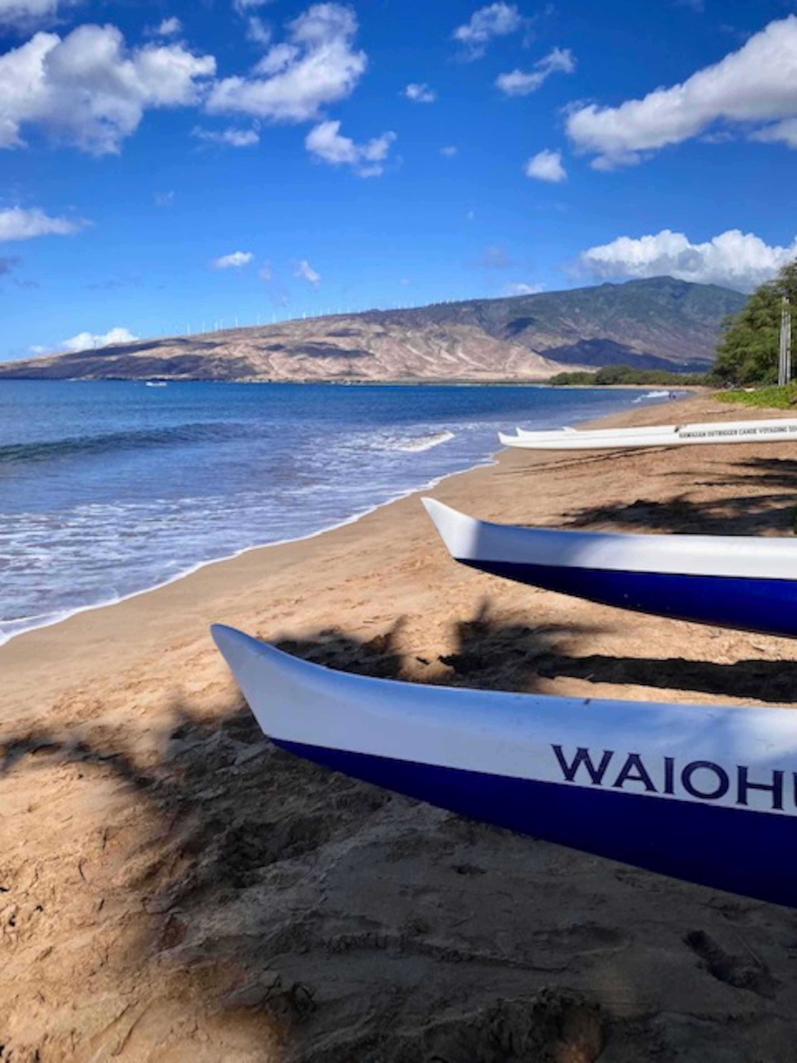 Condo in Kihei · ★4.98 · 1 bedroom · 1 bed · 1 bath - Image 7