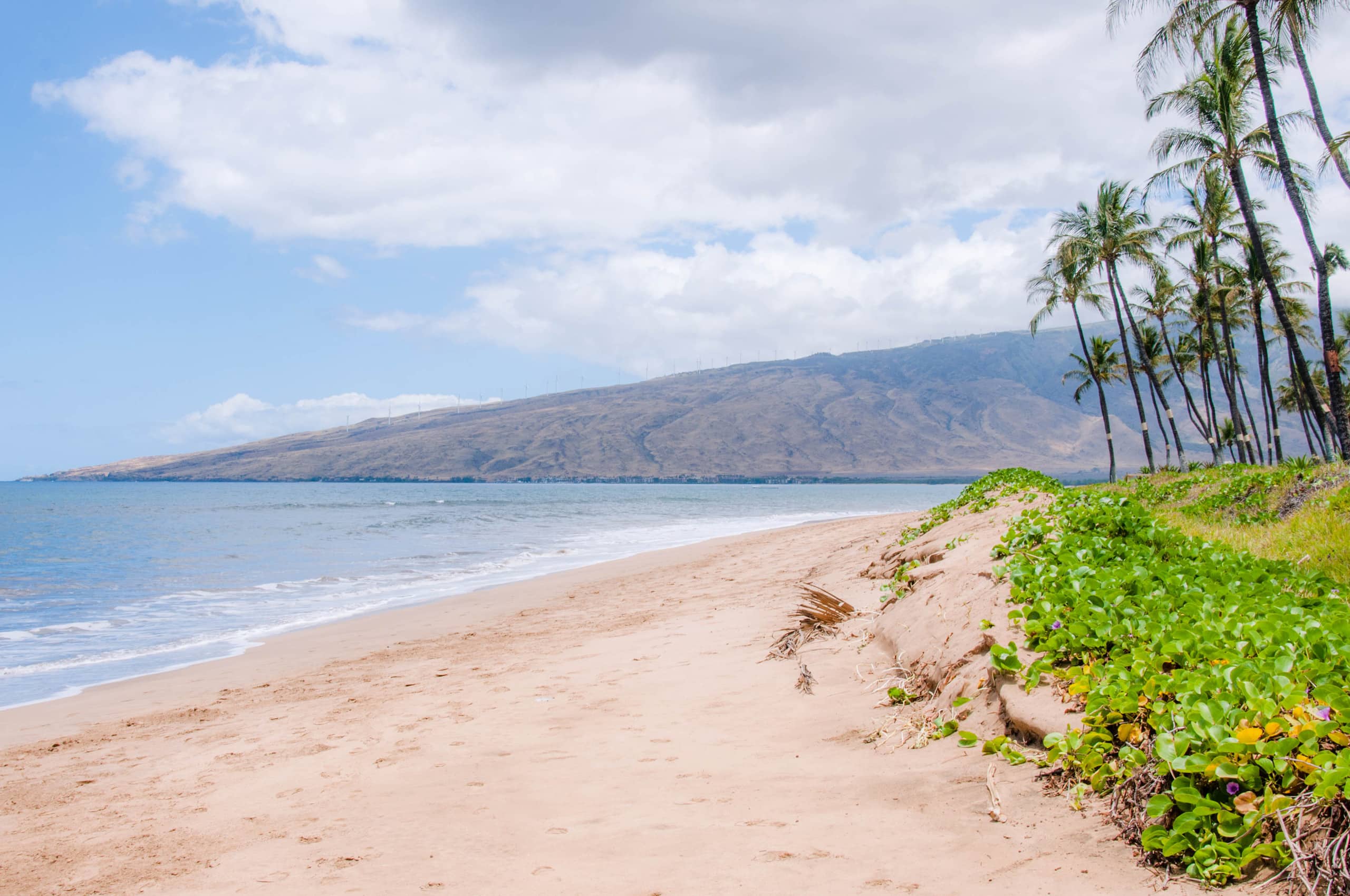 Condo in Kihei · ★4.98 · 1 bedroom · 1 bed · 1 bath - Image 6