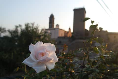 The rest is to be seen... to live!