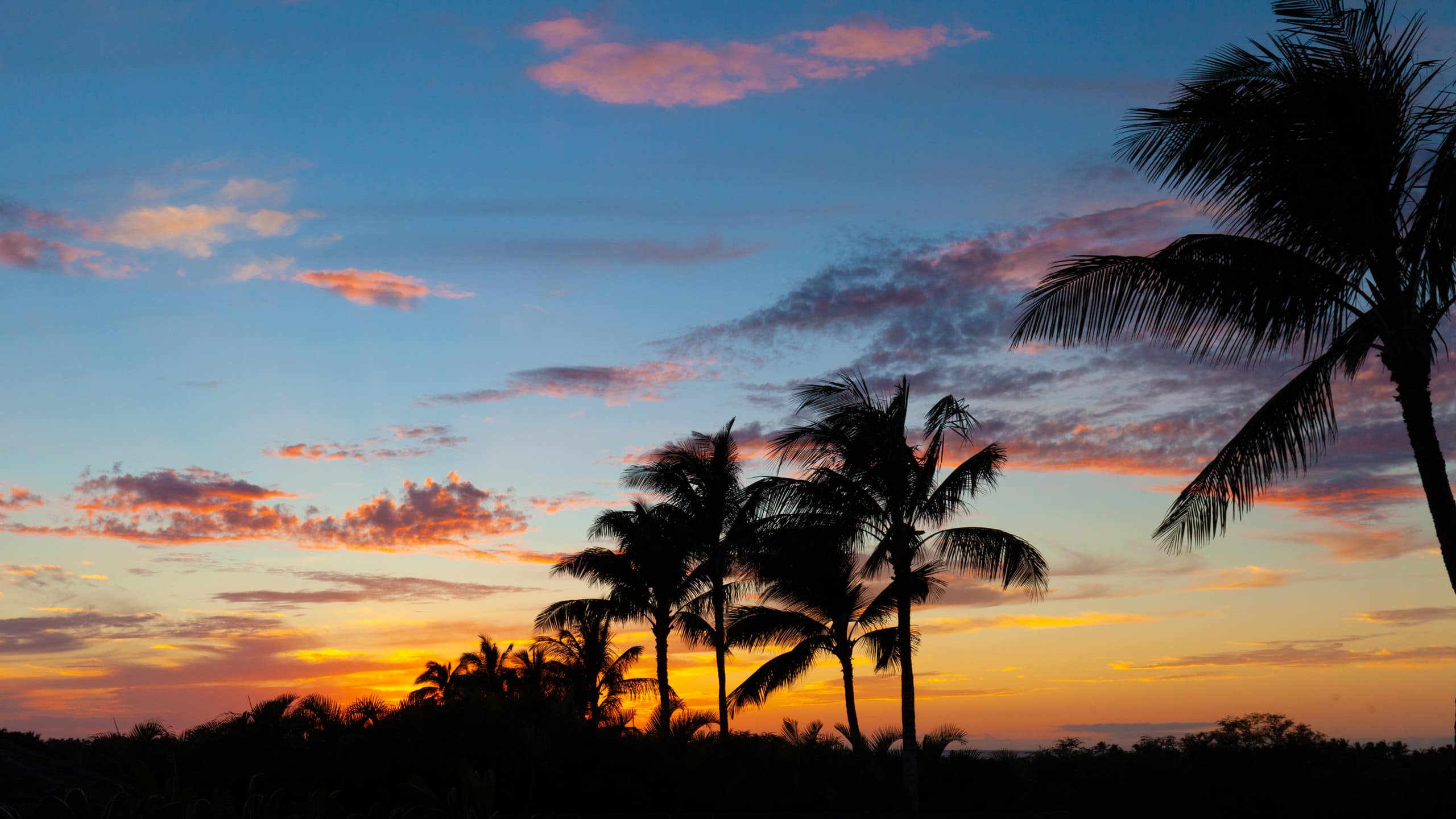 Home in Waimea · ★4.71 · 3 bedrooms · 4 beds · 3.5 baths - Image 58
