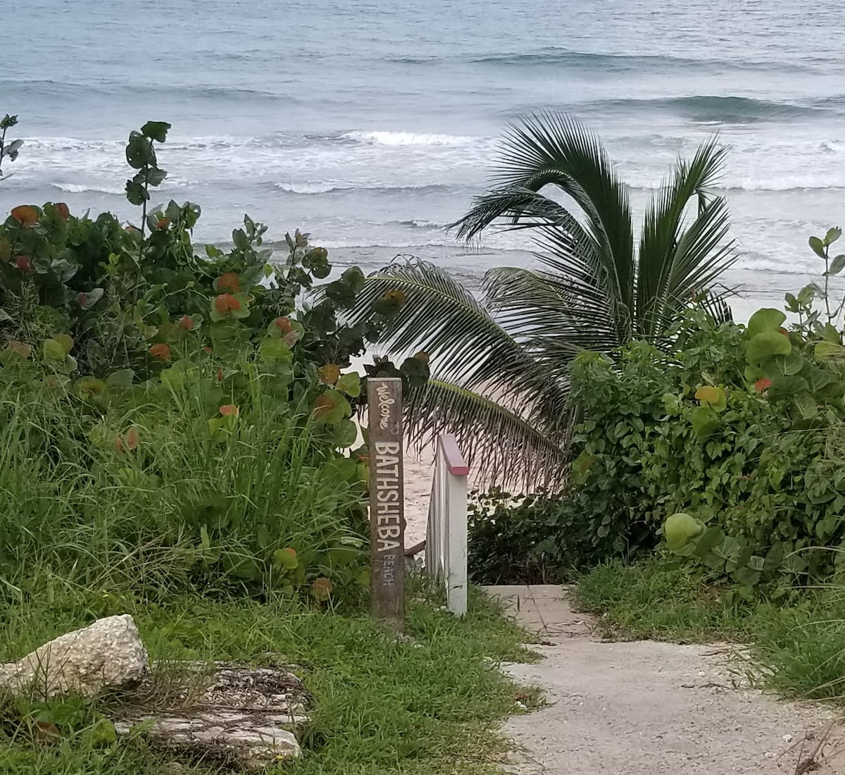 A winding pathway leads through lush greenery to a beach, marked by a sign that reads 'Bathsheba.' Palm trees frame the scene, while gentle waves can be seen in the background, highlighting the natural tranquility of this coastal area.