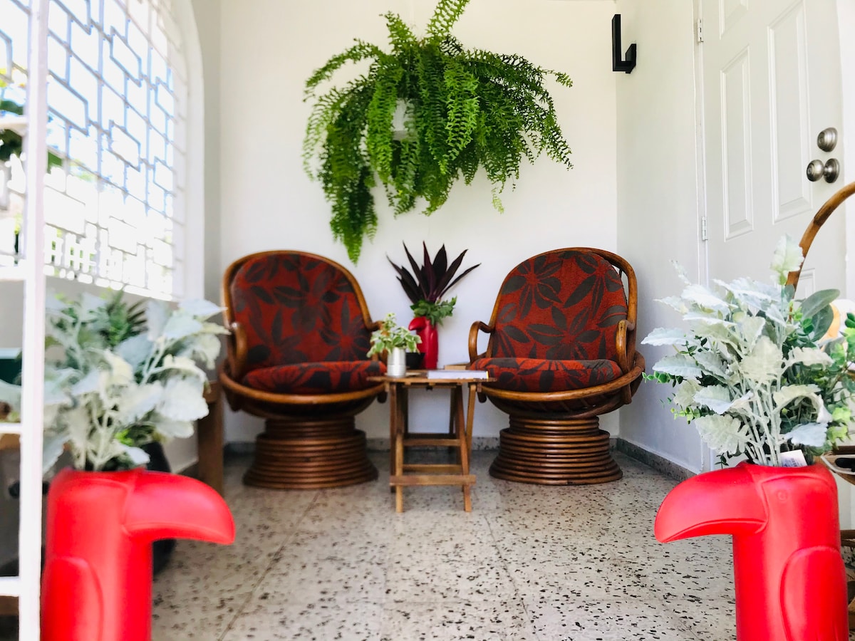 A welcoming seating area is showcased with two rattan chairs adorned with floral cushions. A small wooden table sits between them, surrounded by potted plants. A lush fern is suspended above, adding a touch of greenery to the space.