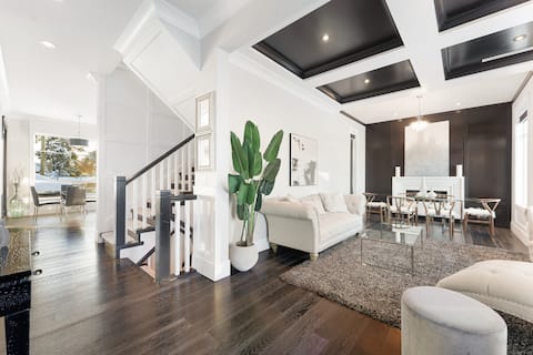 Welcome to the Bold and Modern!