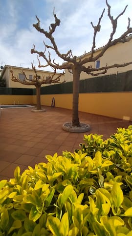 Magnolia l’Escala 2, casa con piscina y barbacoa gallery image 5