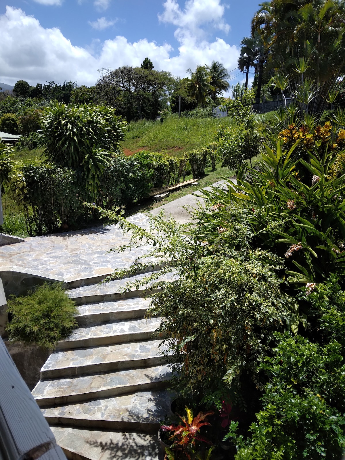 A stone pathway leads through a lush garden, framed by various plants and shrubs. The serene landscape is dotted with palm trees and greenery, under a bright blue sky with scattered clouds. The inviting steps descend towards an open area, providing a natural and peaceful setting.