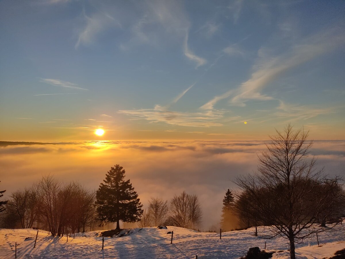 A serene winter landscape is depicted, showcasing a sunset glowing above a blanket of fog. Silhouettes of bare trees and evergreens frame the scene, while the soft snow covers the ground, creating a peaceful and calm atmosphere.