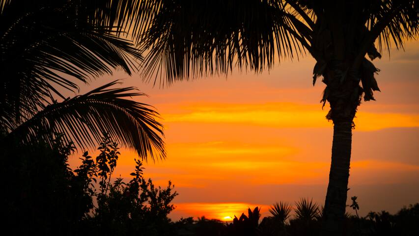 ♥︎PiH♥︎Starry Nights★Free Hilton Pool Passes★Bikes gallery image 3