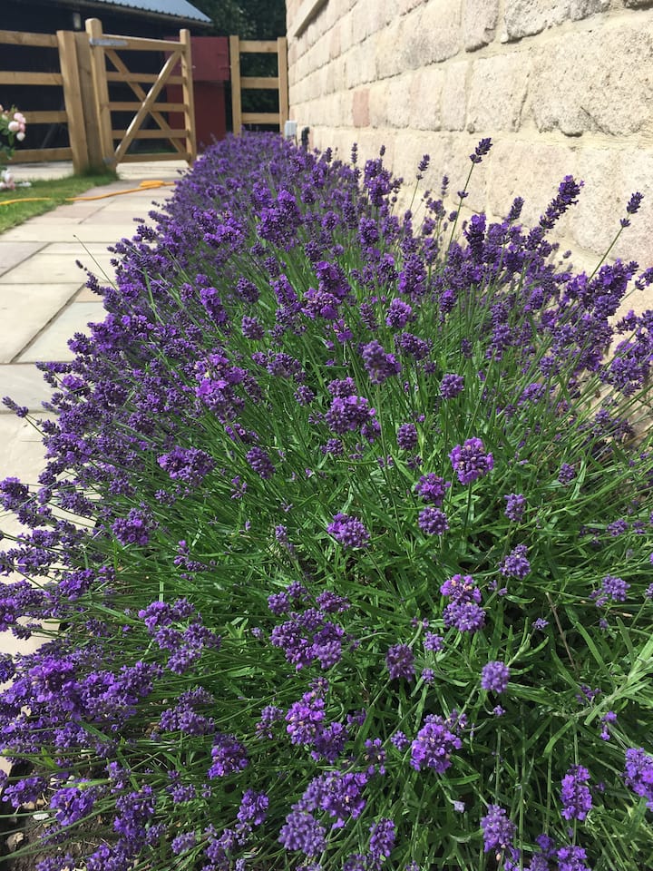 Luxury 3 bedroom house hot tub & amazing view! Houses for Rent in