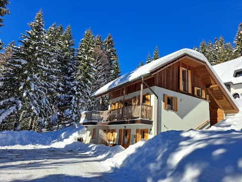 Chalet Harmony Rogla - Apartment B