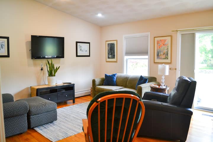 Comfortable living area with pull out sofa. 