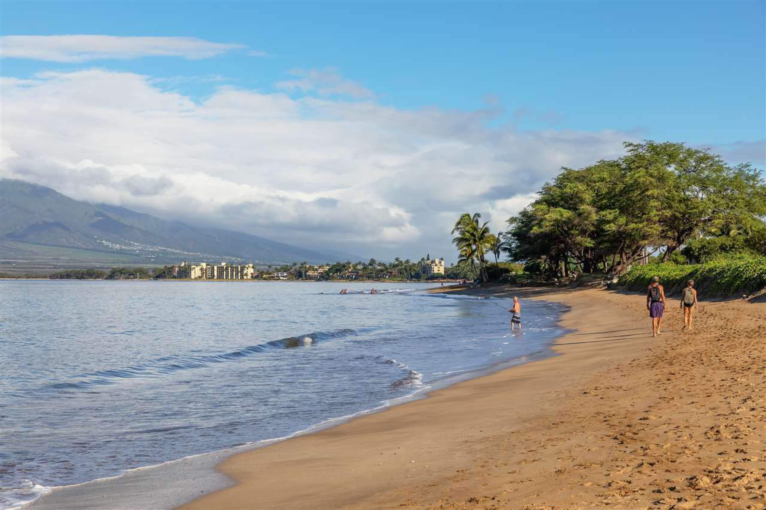Condo in Kihei · ★4.85 · 2 bedrooms · 4 beds · 1 private bath - Image 44