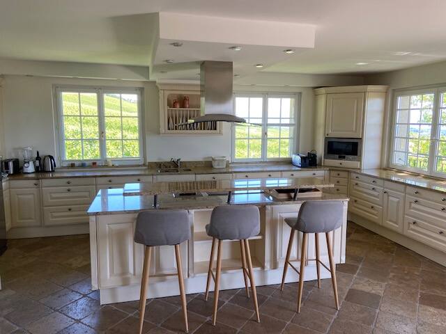 Mont-Sur-Rolle House with Vineyard & Lake View gallery image 5