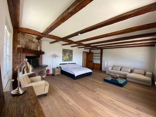 Mont-Sur-Rolle House with Vineyard & Lake View gallery image 3