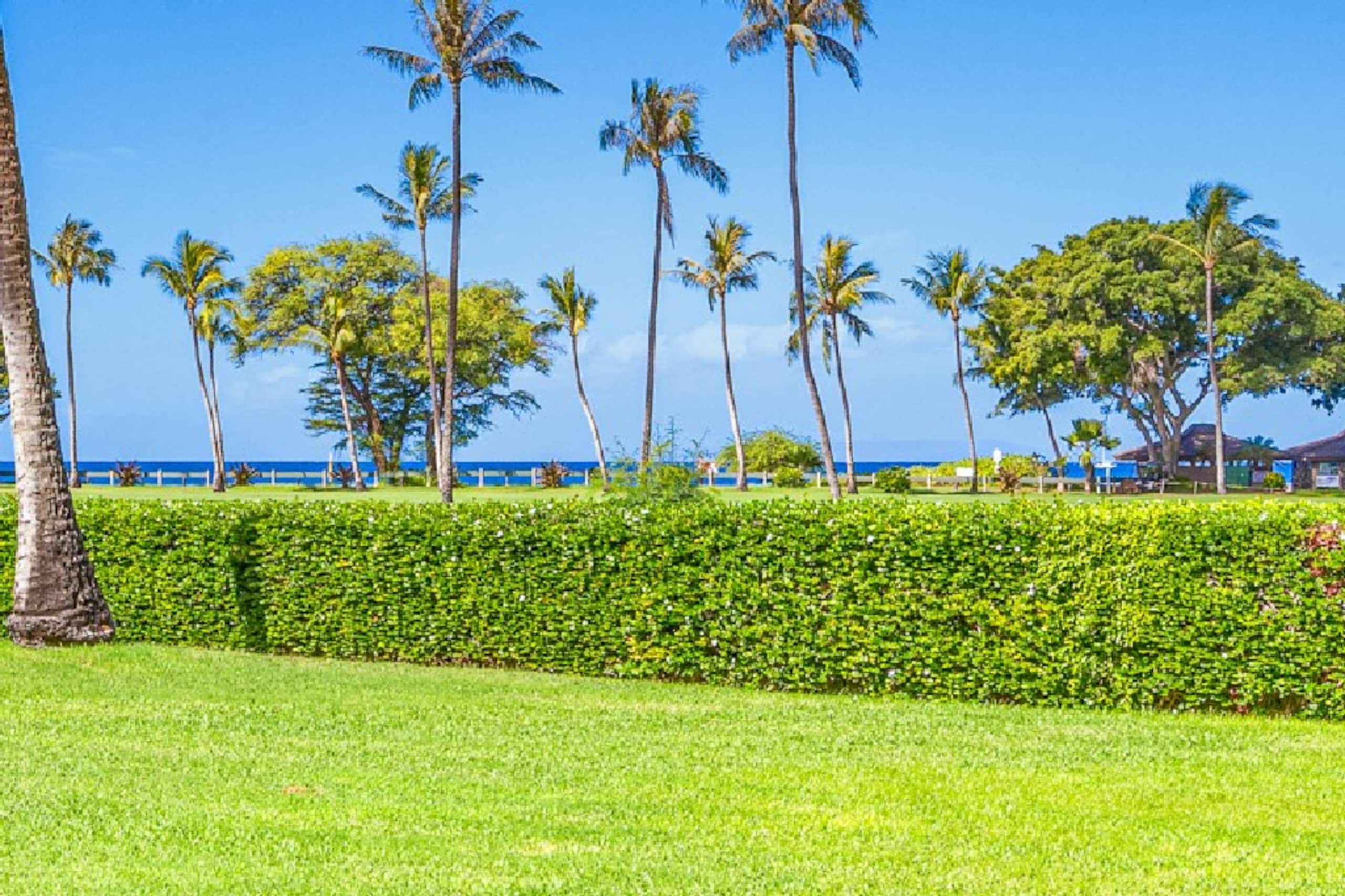 Condo in Lahaina · ★5.0 · Studio · 2 beds · 1 bath - Image 7