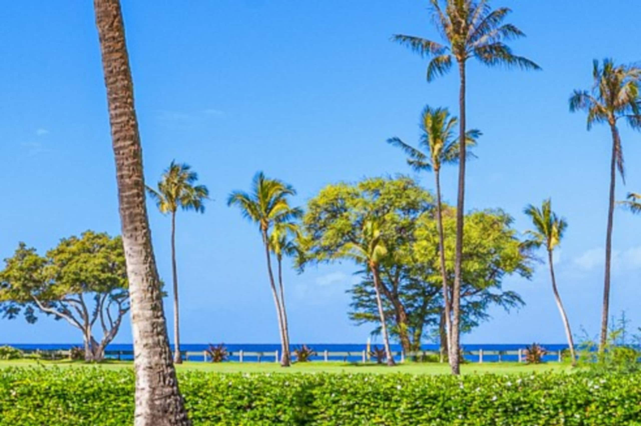 Condo in Lahaina · ★5.0 · Studio · 2 beds · 1 bath - Image 4