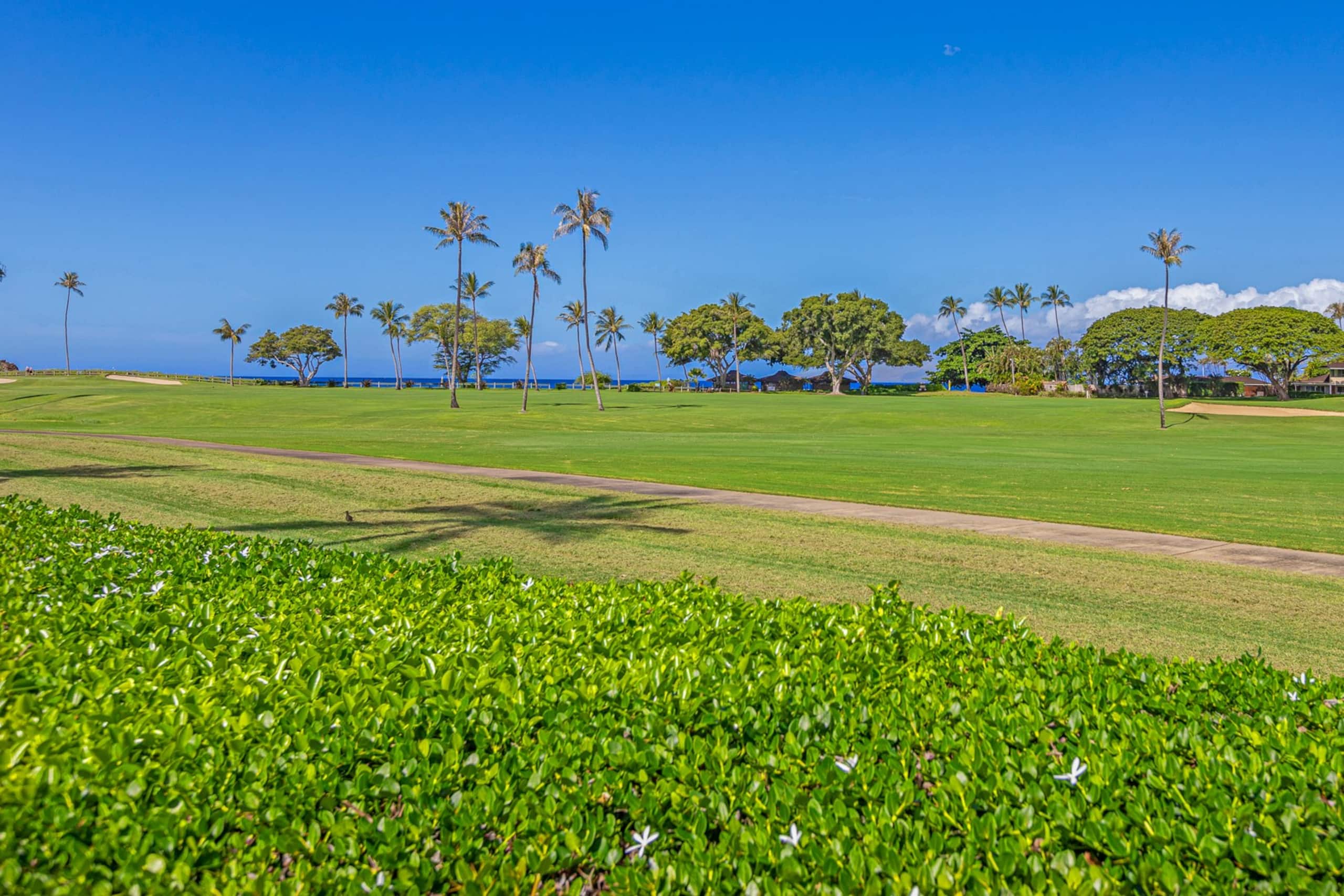 Condo in Lahaina · ★5.0 · Studio · 2 beds · 1 bath - Image 16