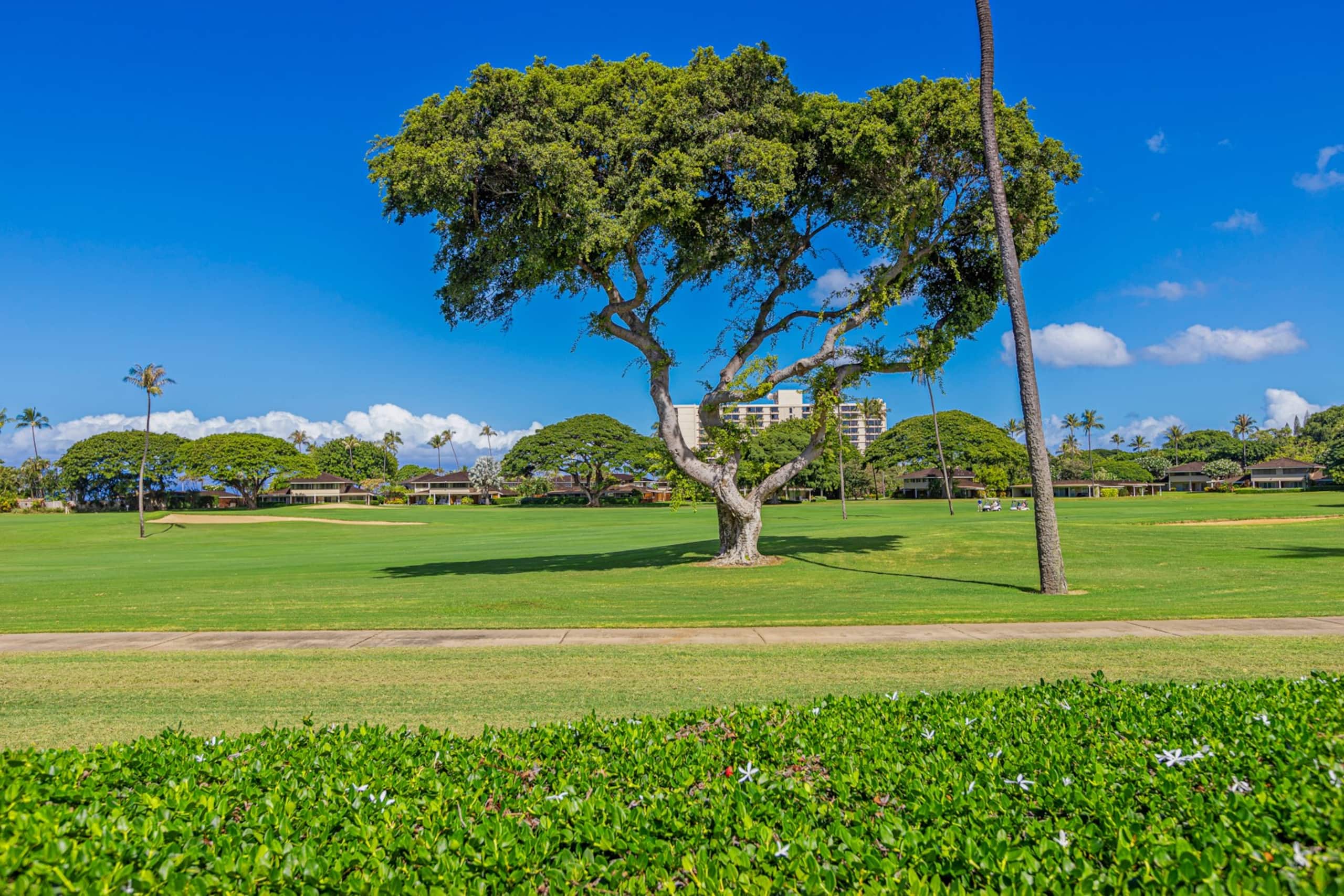 Condo in Lahaina · ★5.0 · Studio · 2 beds · 1 bath - Image 39