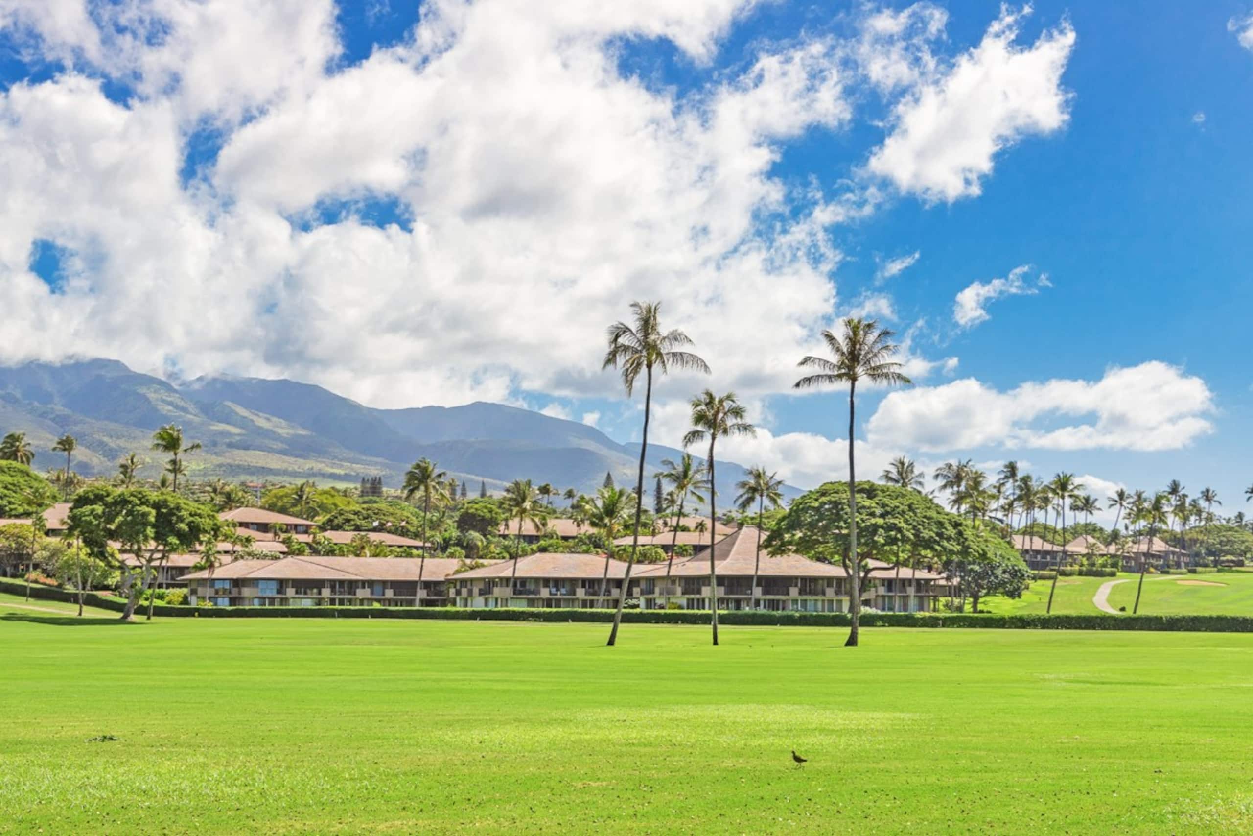 Condo in Lahaina · ★5.0 · Studio · 2 beds · 1 bath - Image 47
