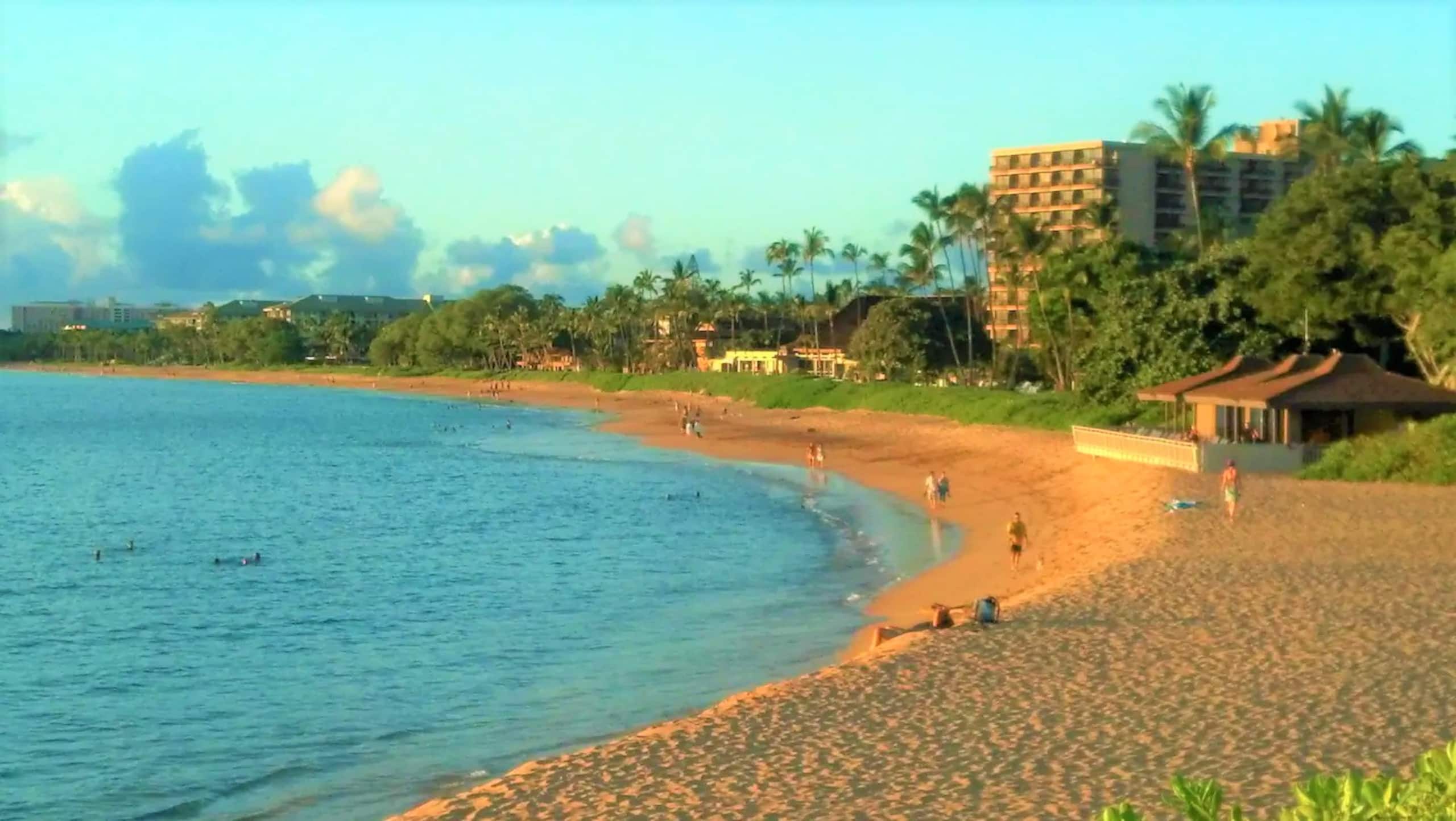 Condo in Lahaina · ★5.0 · Studio · 2 beds · 1 bath - Image 53