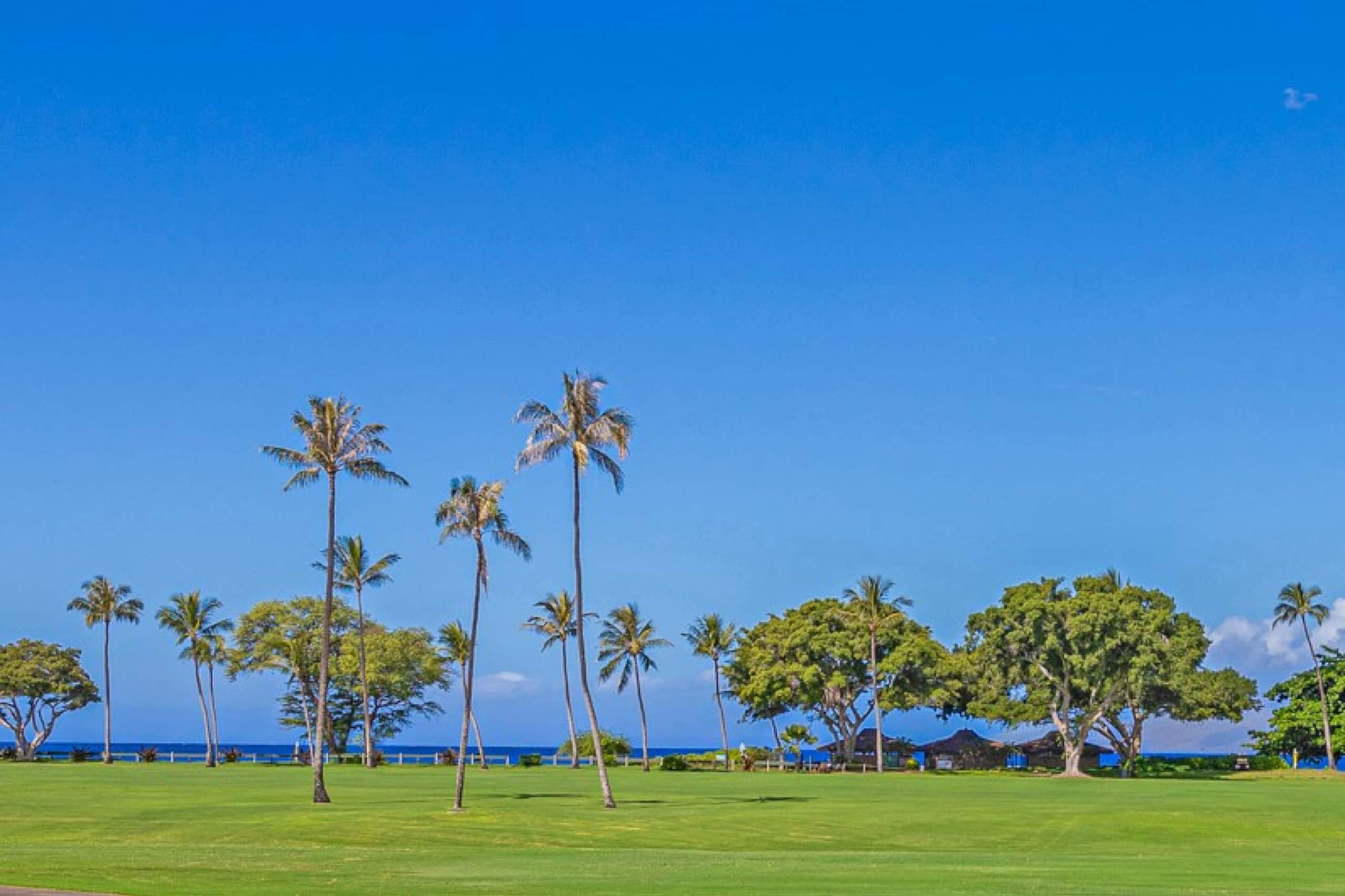 Condo in Lahaina · ★5.0 · Studio · 2 beds · 1 bath - Image 5