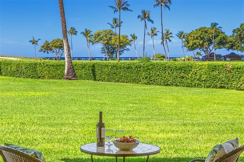 Top performing Airbnb: Amazing Oceanview, Kaanapali Beach, Prime Location in Kaanapali
