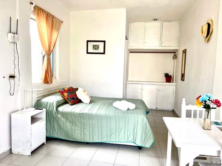 Casita Verde overlooking the patio and oceanfront (4) Condominiums