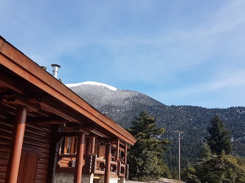 Wooden Chalet in the forest (Chalet Aroania)