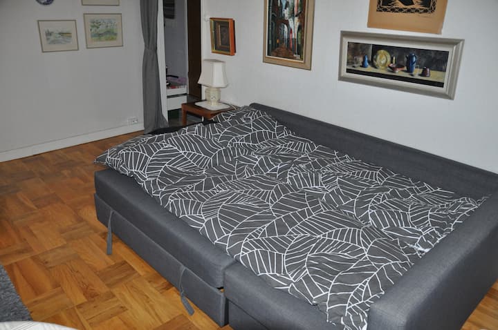 ספה נפתחת בסלון