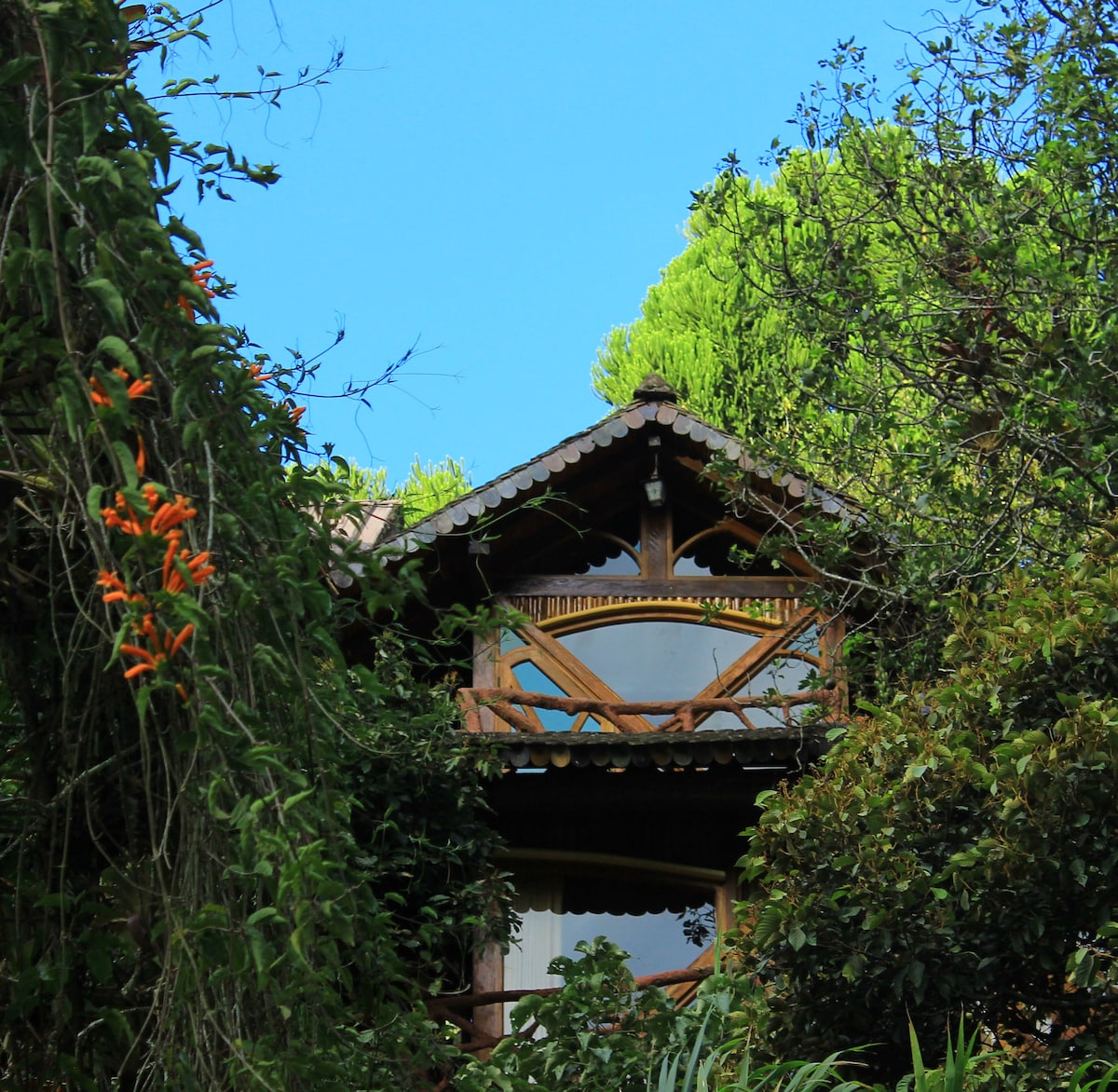 A wooden structure is surrounded by lush greenery, featuring a decorative gabled roof and large windows that allow natural light to illuminate the interior. Vibrant flowers are visible in the foreground, enhancing the sense of connection to nature.