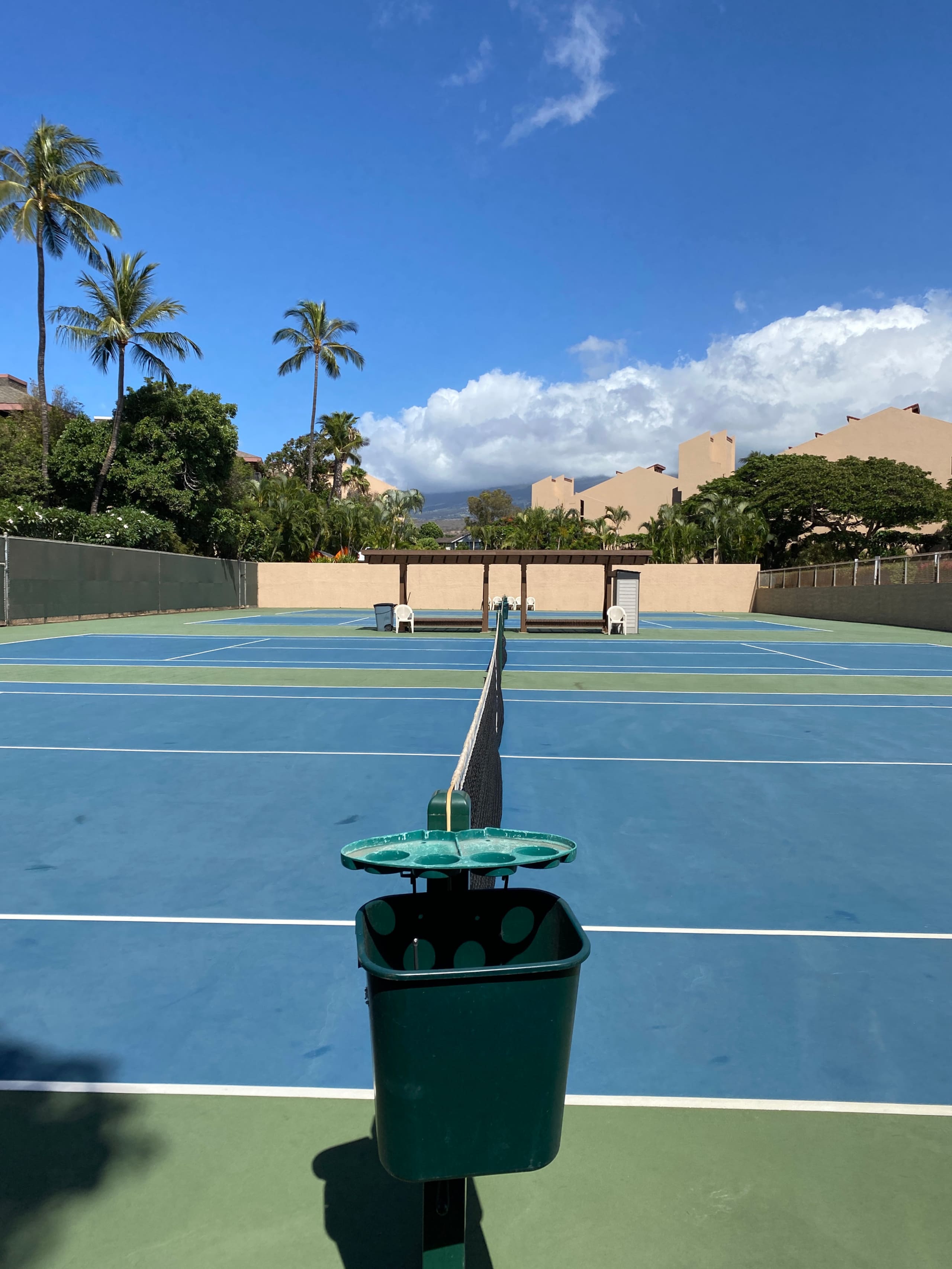 Condo in Kihei · ★4.97 · 1 bedroom · 2 beds · 2 baths - Image 50
