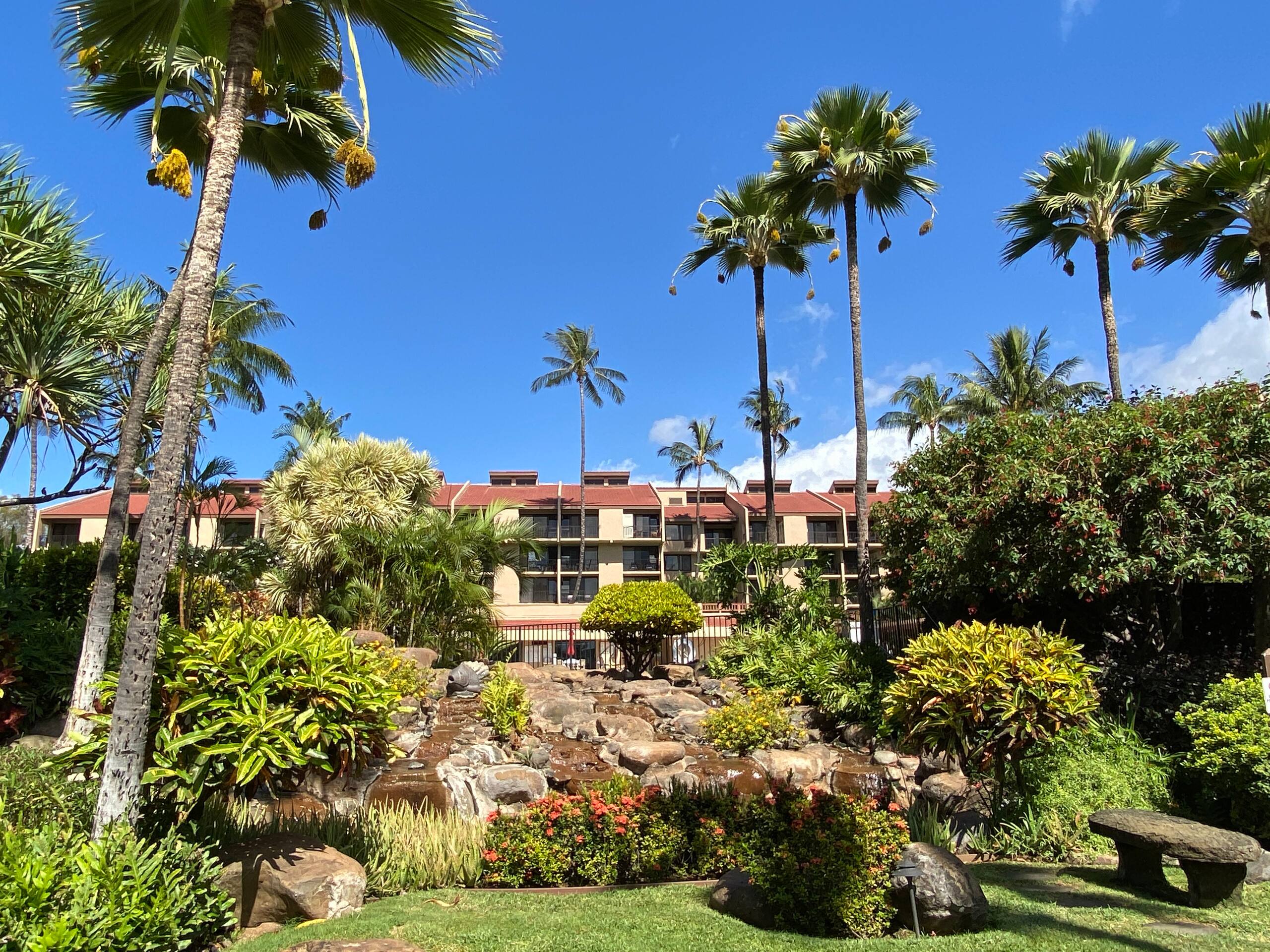 Condo in Kihei · ★4.97 · 1 bedroom · 2 beds · 2 baths - Image 52