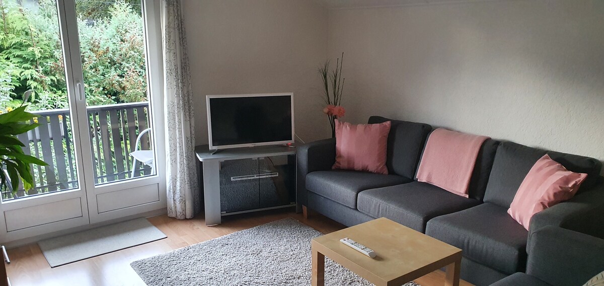 Top Airbnb: Cozy apartment in the heart of Interlaken in Interlaken