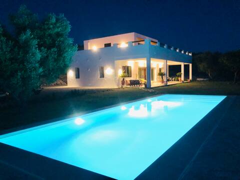 FUENTEMEDINA : Modern cottage in an olive grove