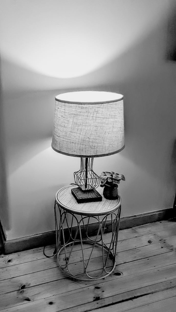 Cosy Mid-Century home, Central, Fur Baby Friendly
