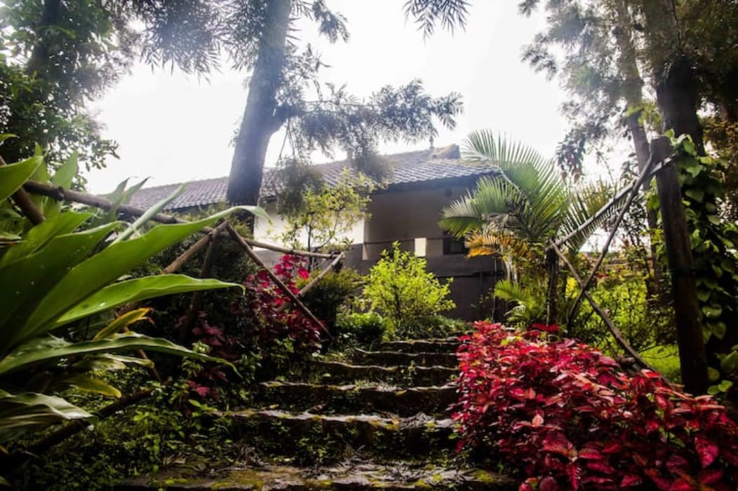 A natural stone pathway leads through lush greenery and vibrant flower beds, showcasing various plants and colorful foliage. The pathway ascends toward a charming heritage home partially obscured by tall trees, creating a serene and inviting atmosphere.