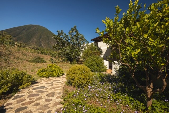 A stone pathway meanders through a lush garden, bordered by flowering plants and shrubs. In the background, a gentle hill rises under a clear blue sky, creating a serene natural setting. The garden features a variety of green foliage, enhancing the tranquil atmosphere.