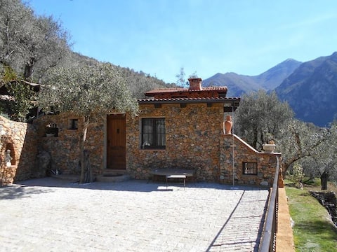 THE SOURCE OF MONT HAVRE DE PAIX IN AN OLIVE GROVE