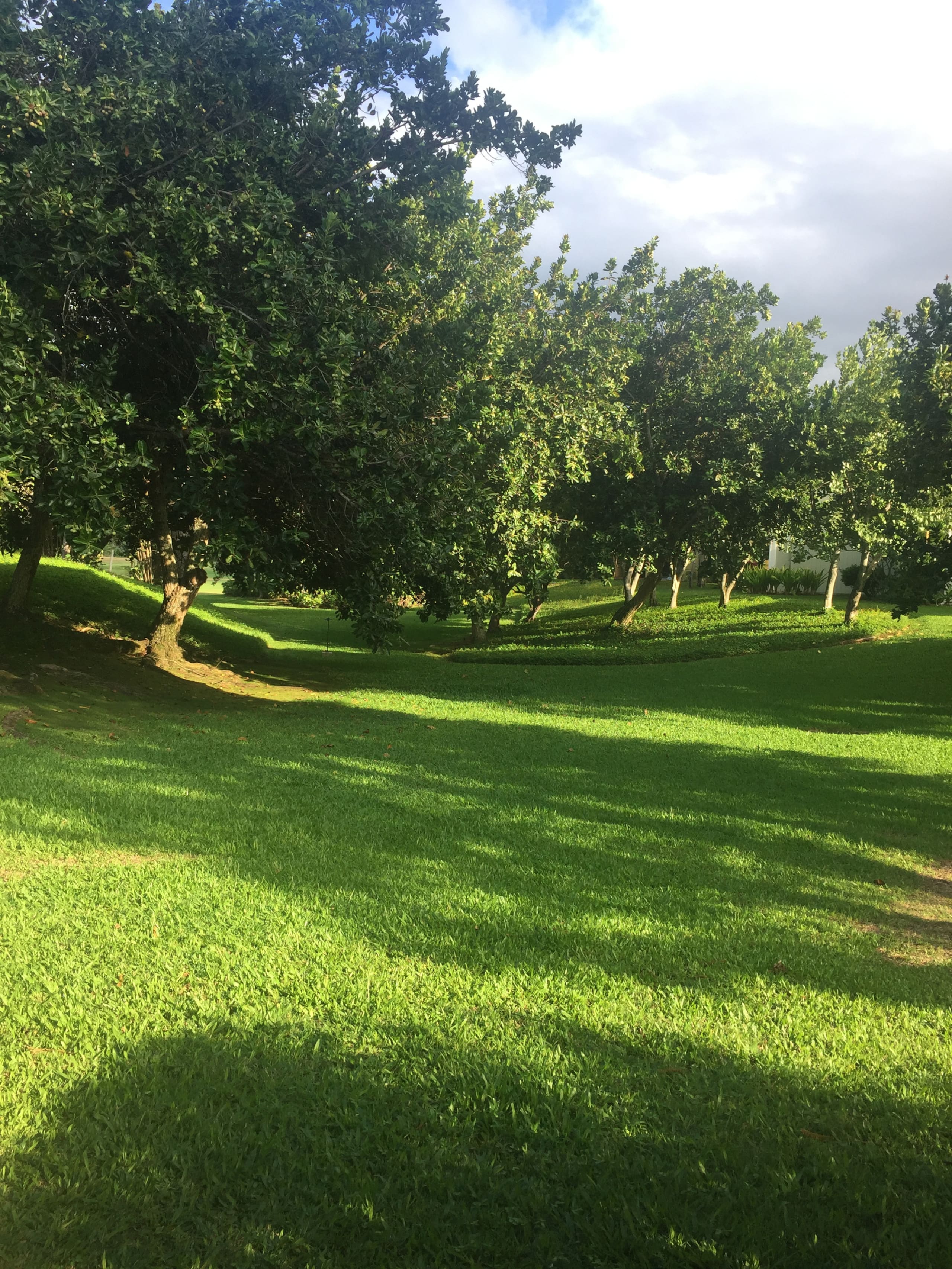 Condo in Kahuku · ★4.84 · 1 bedroom · 2 beds · 1 private bath - Image 16