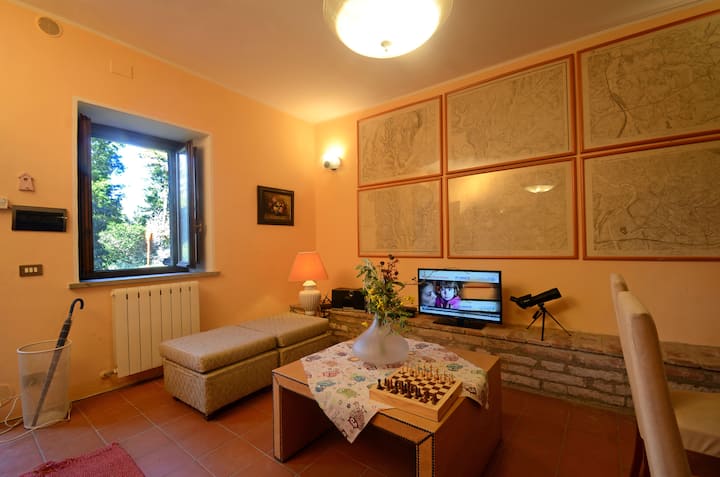 אזור טלוויזיה בפורסטריה 4