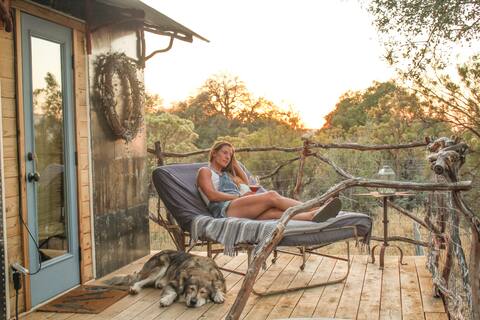 Bluebird Tiny House Forest Retreat