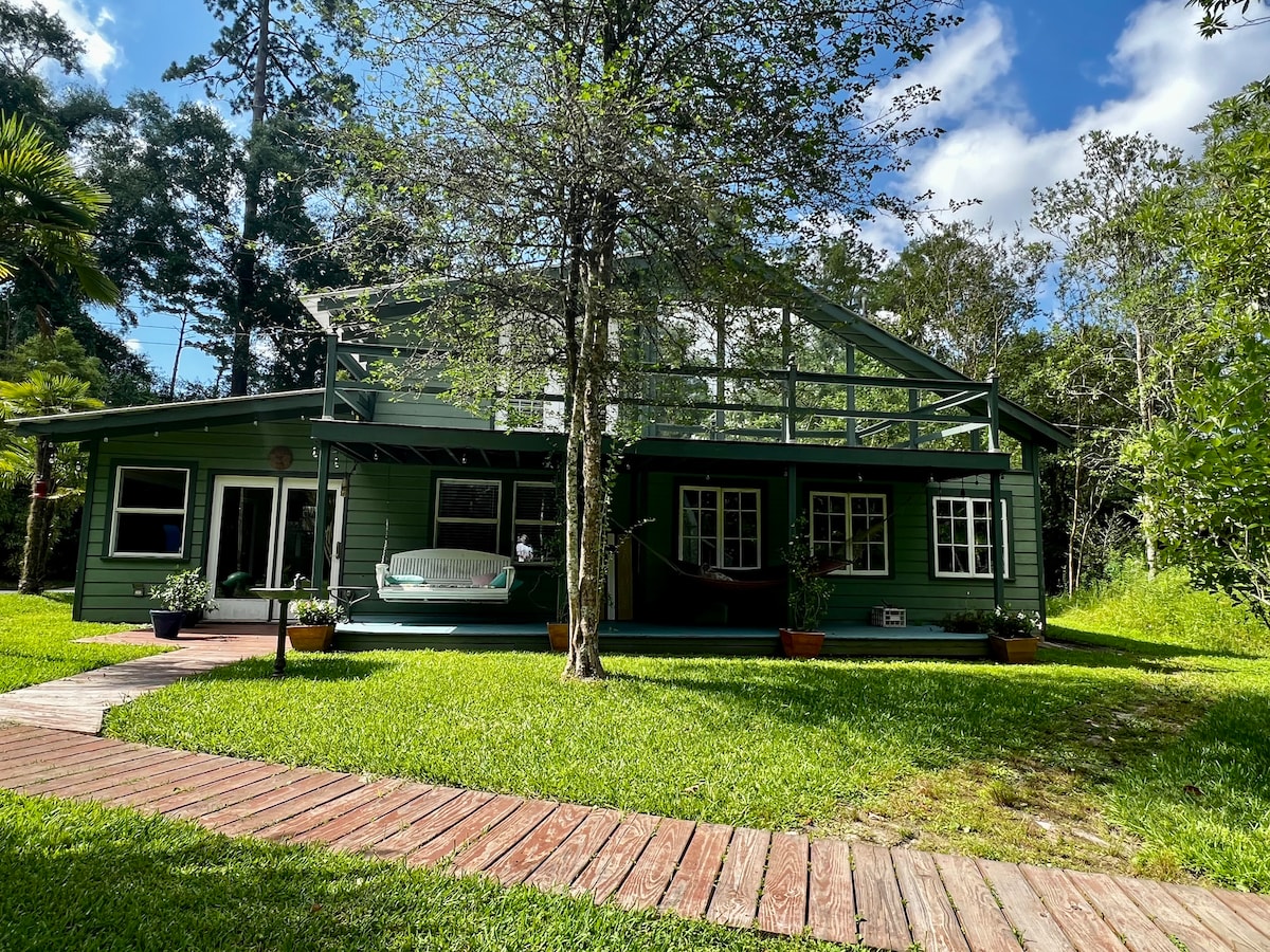 A charming green guesthouse is set amidst lush greenery and tall trees. The exterior features multiple windows and a covered porch with a swing. A wooden walkway leads to the entrance, surrounded by well-maintained grass and small potted plants along the path.