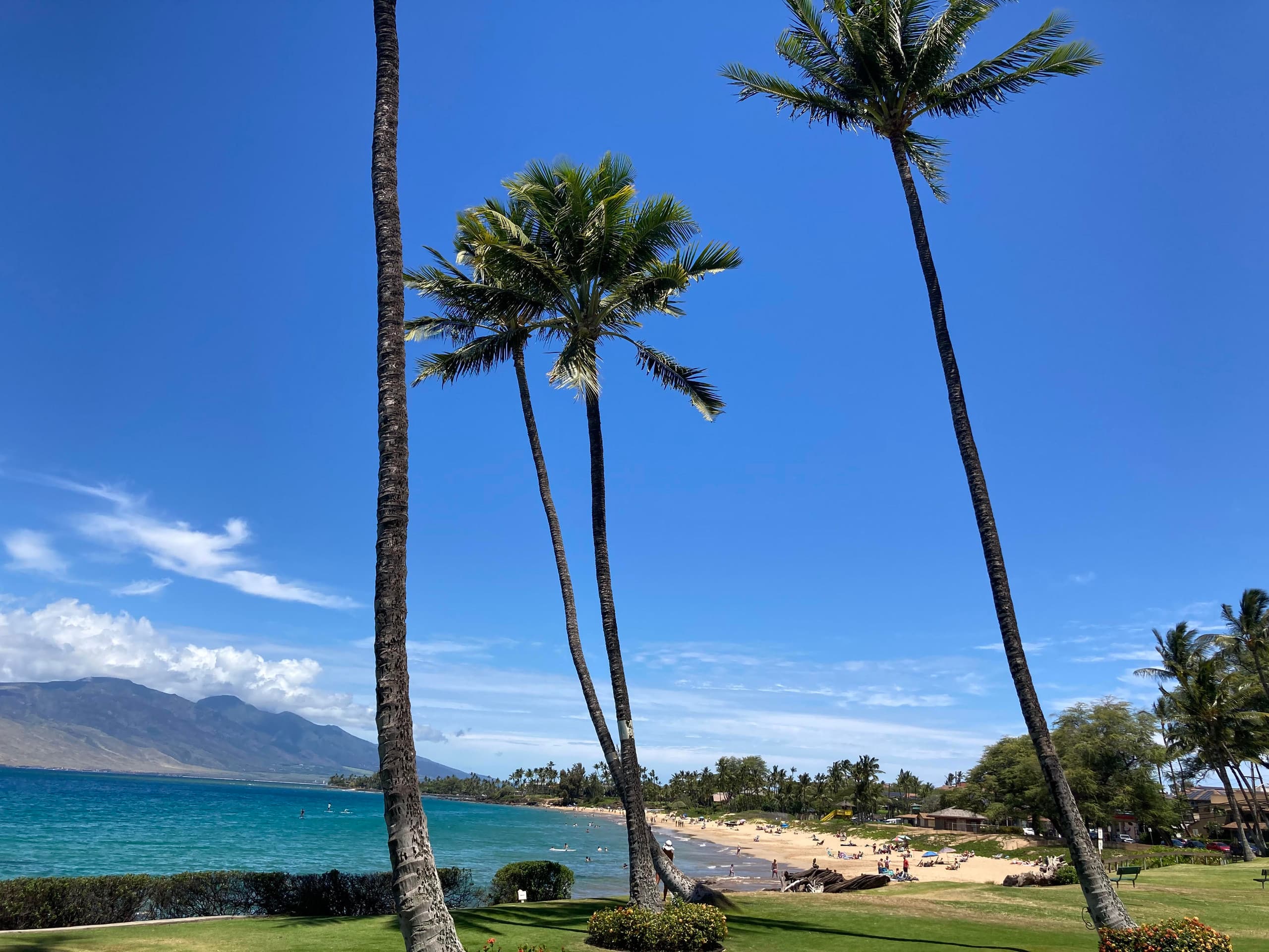 Condo in Kihei · ★4.94 · 2 bedrooms · 3 beds · 2 baths - Image 37