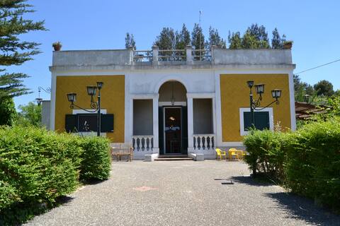 The House of Grandparents